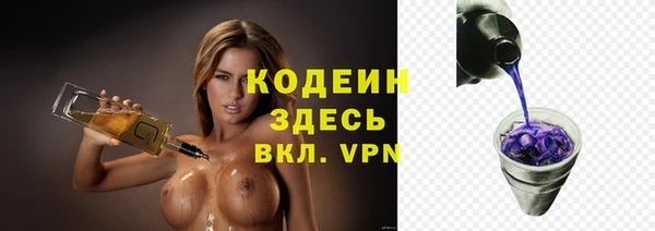шишки Балахна