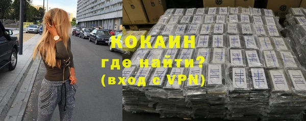 шишки Балахна