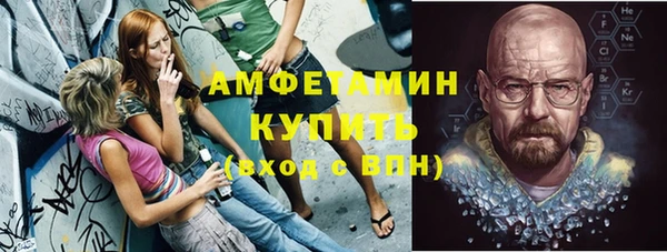 шишки Балахна