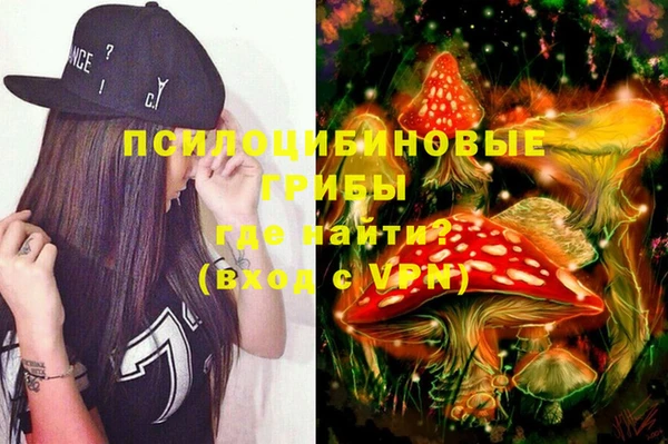 шишки Балахна