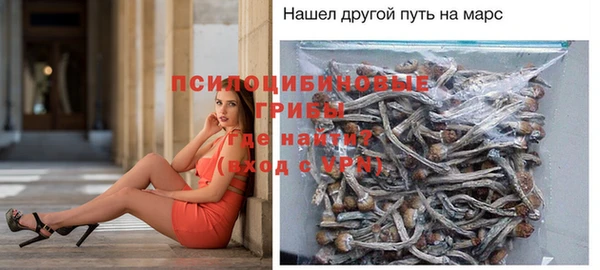 шишки Балахна